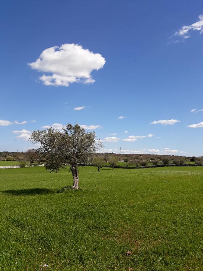 Enjoytrulli - Countryside Villa Noci Ngoại thất bức ảnh